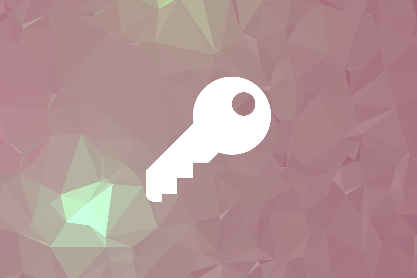 WordPress Security Issues