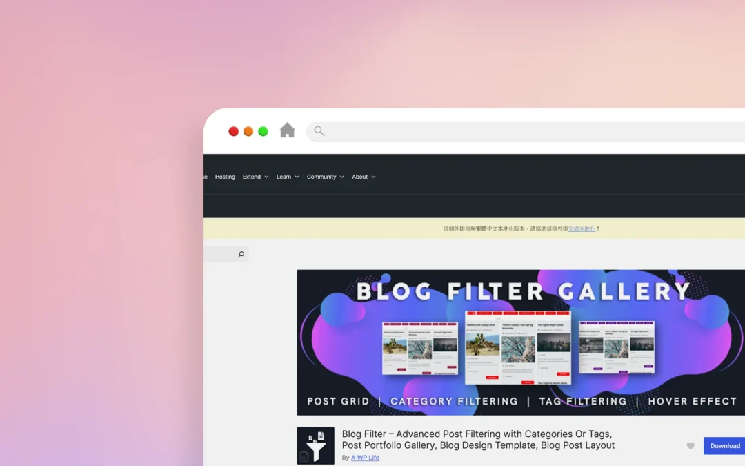 Blog Filter 外掛程式