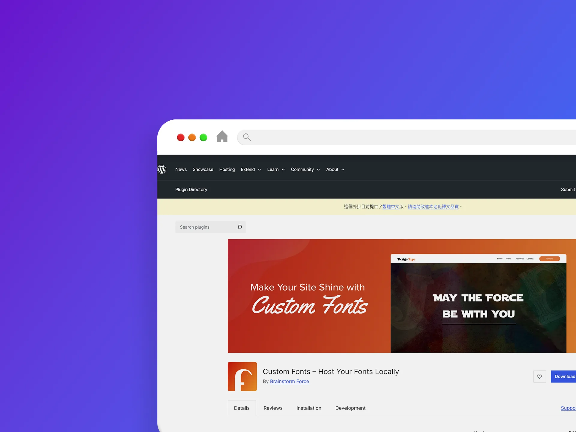 Custom Fonts – Host Your Fonts Locally 外掛程式