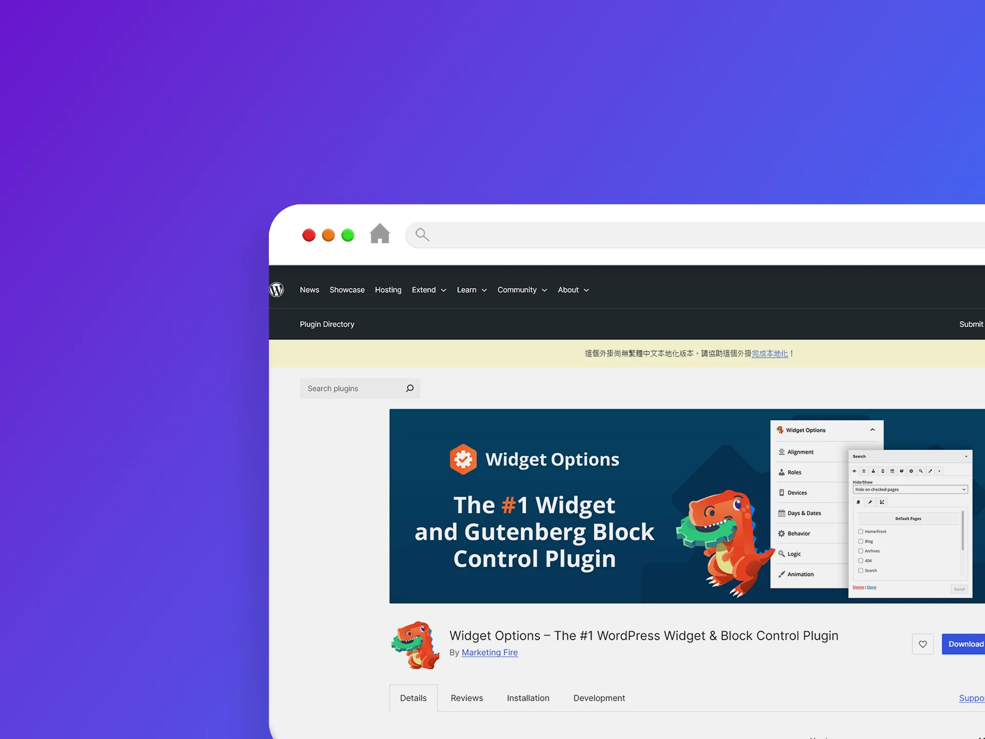 Widget Options 外掛程式