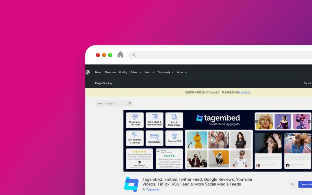 Tagembed 外掛程式